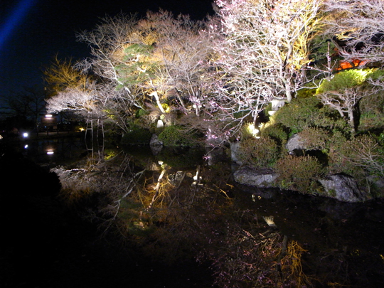 R0012913.jpg
