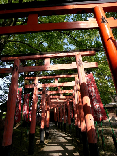 R0013732.jpg